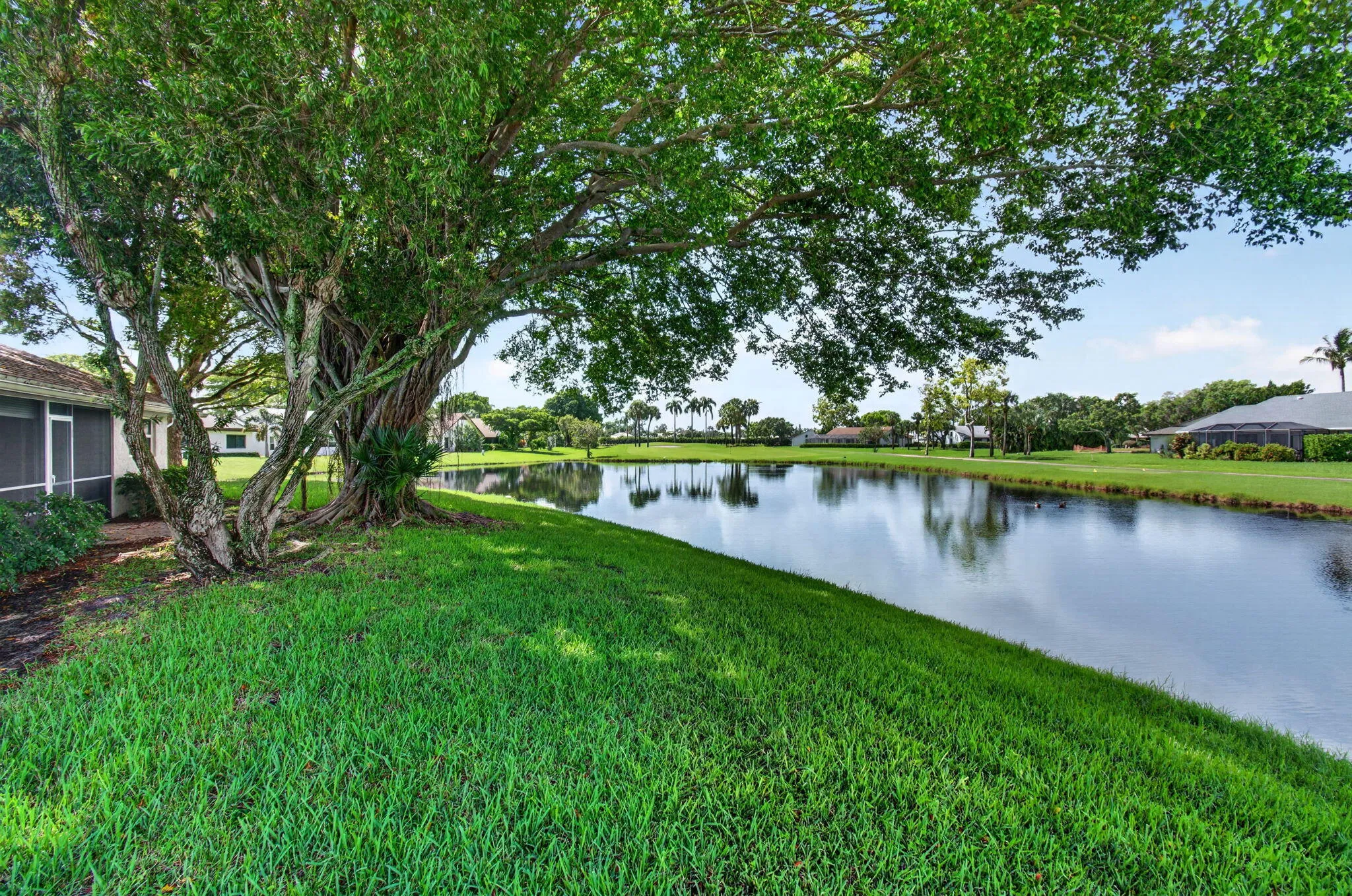 34-75-web-or-mls-DSC_4514
