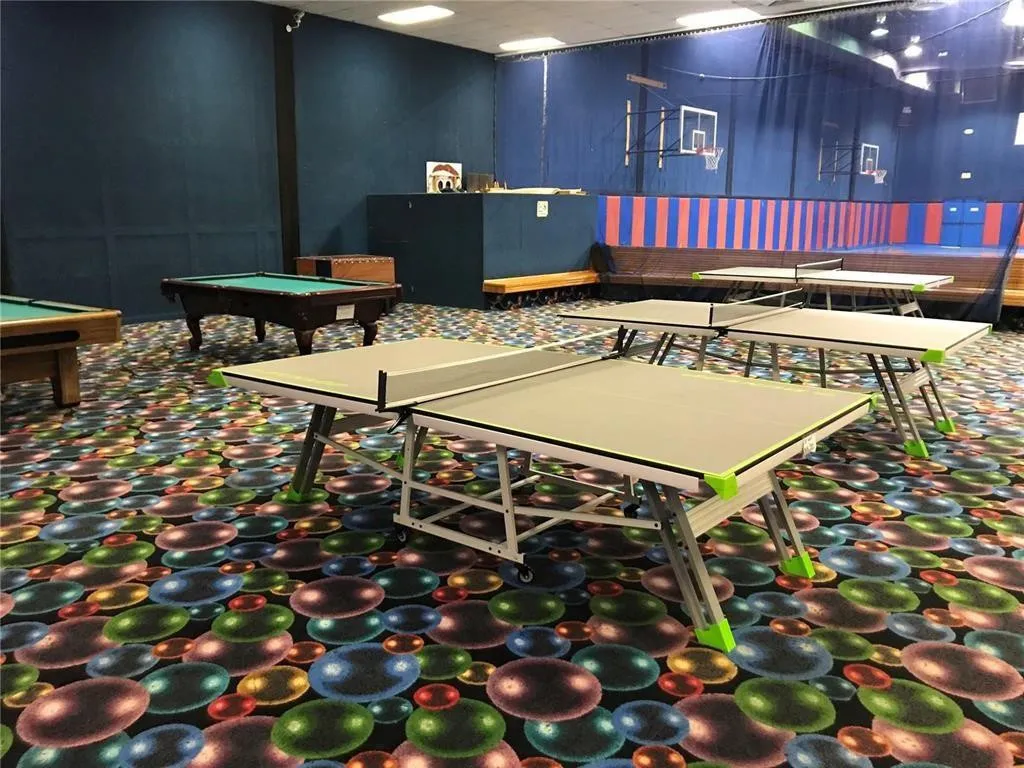 Ping pong for fun!