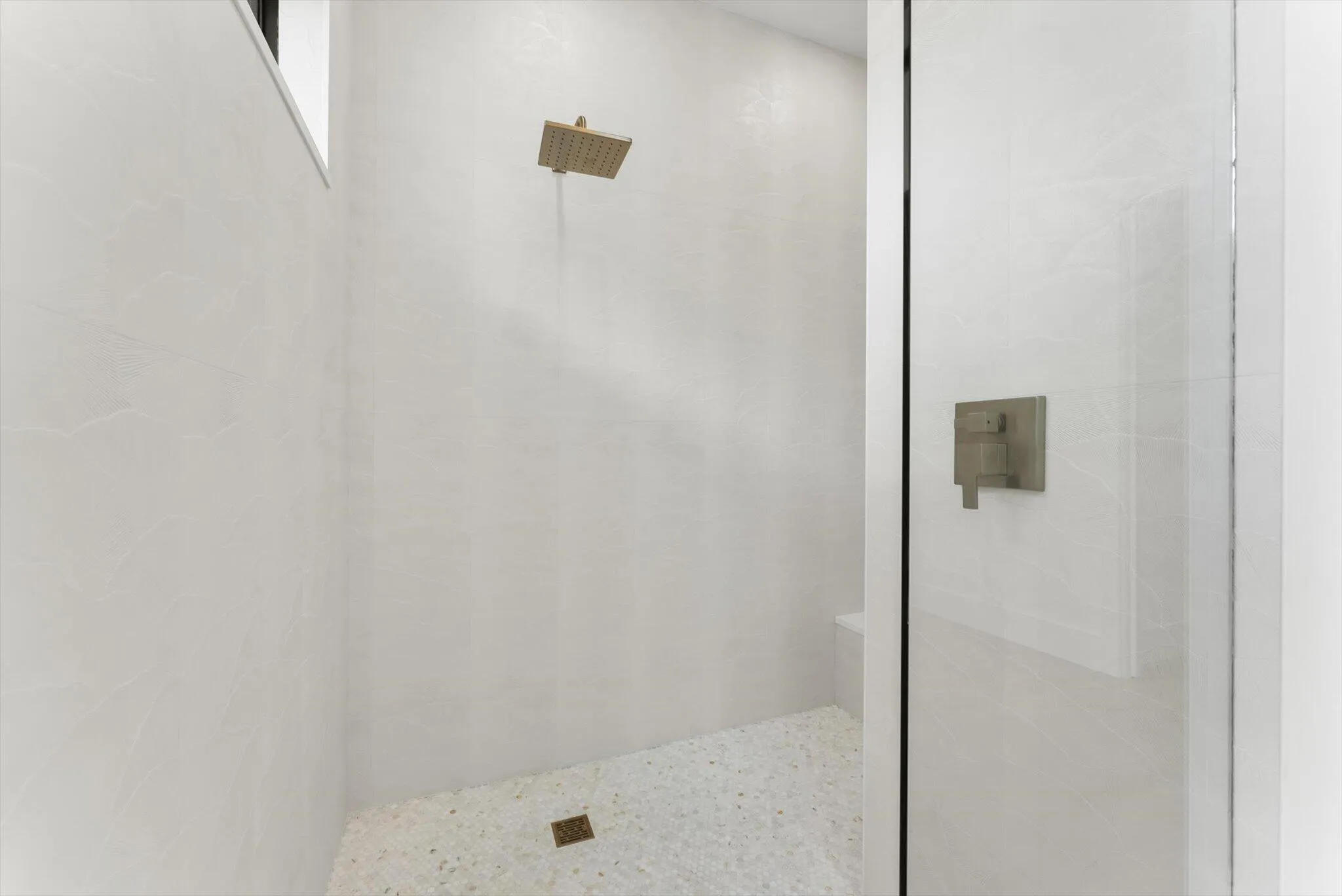 Primary Shower