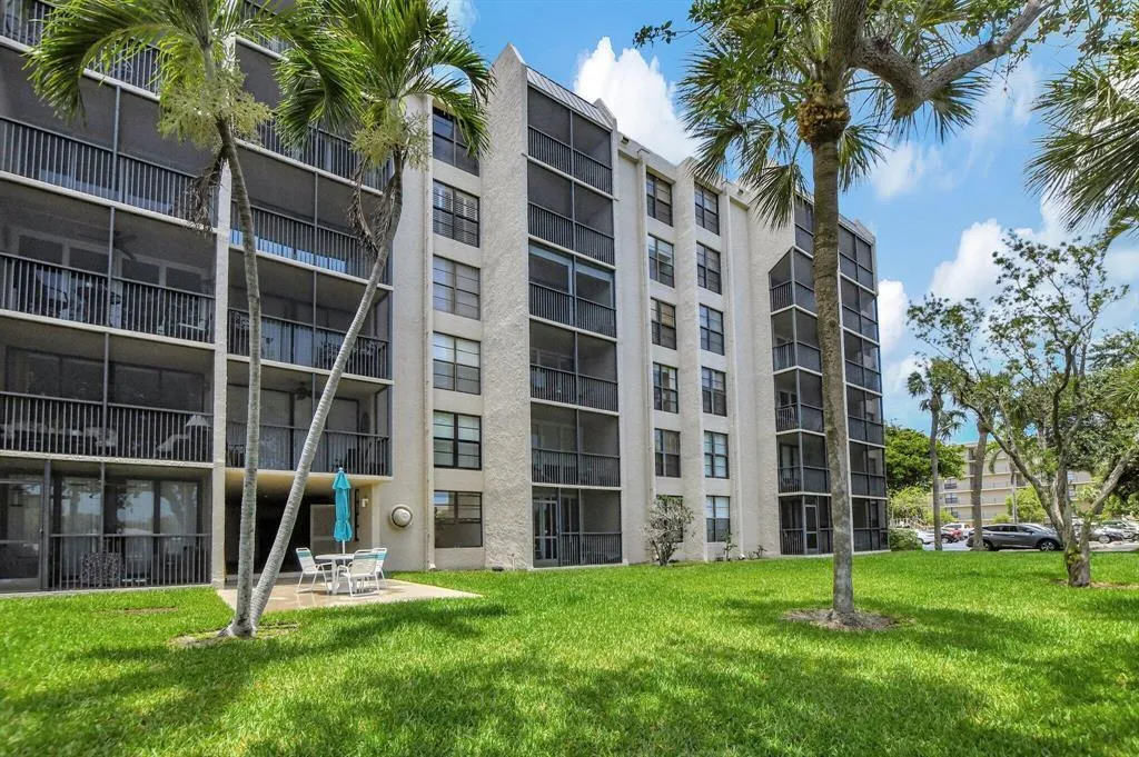 14 Royal Palm back