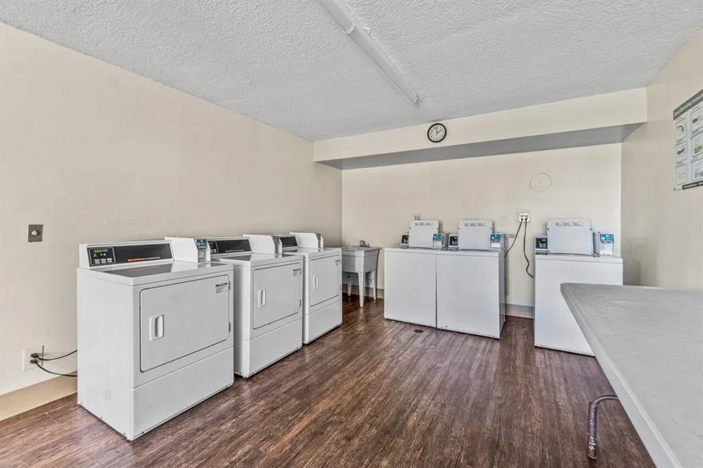 14 Royal Palm laundry room
