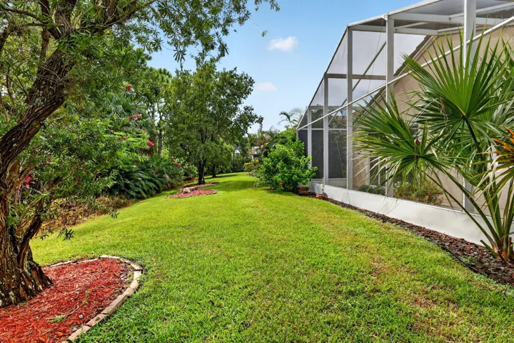 Back Yard 2