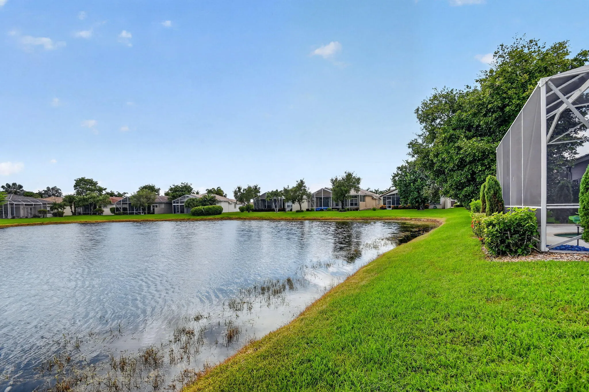 56-web-or-mls-DSC_1451