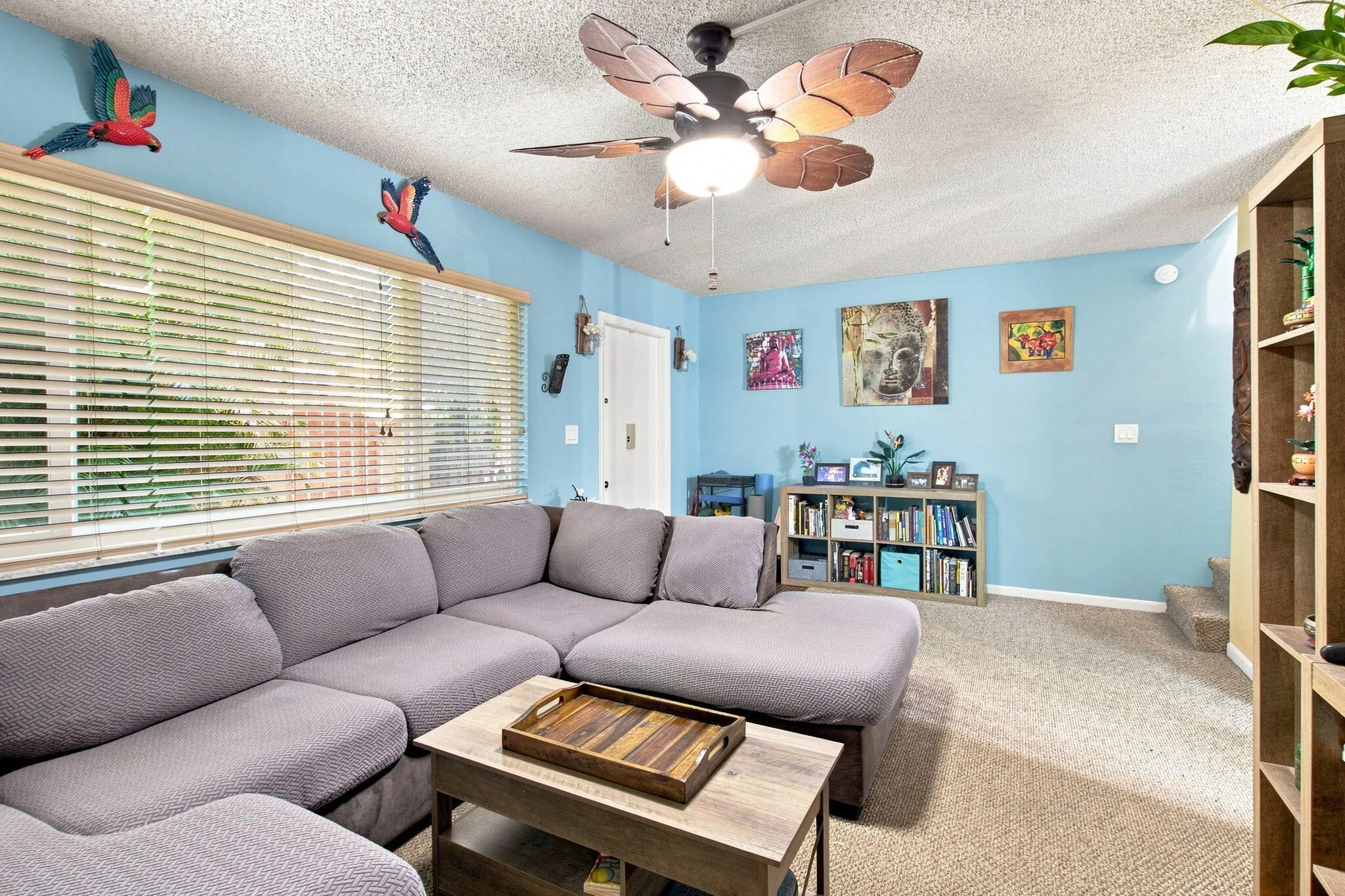 5-web-or-mls-7175-nova-dr-502