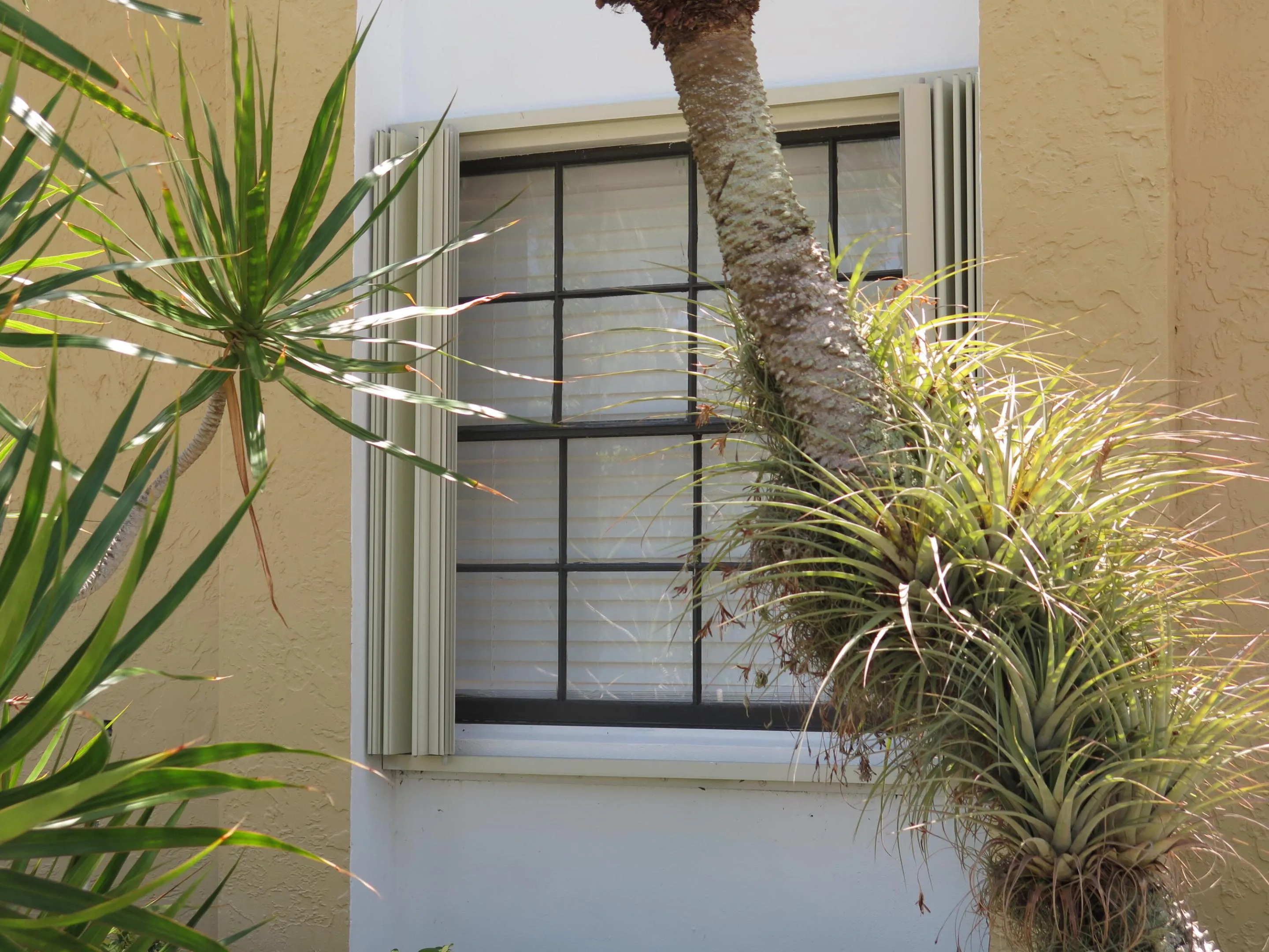 Folding shutters
