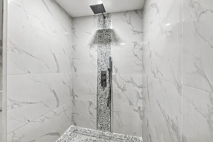 Primary Shower