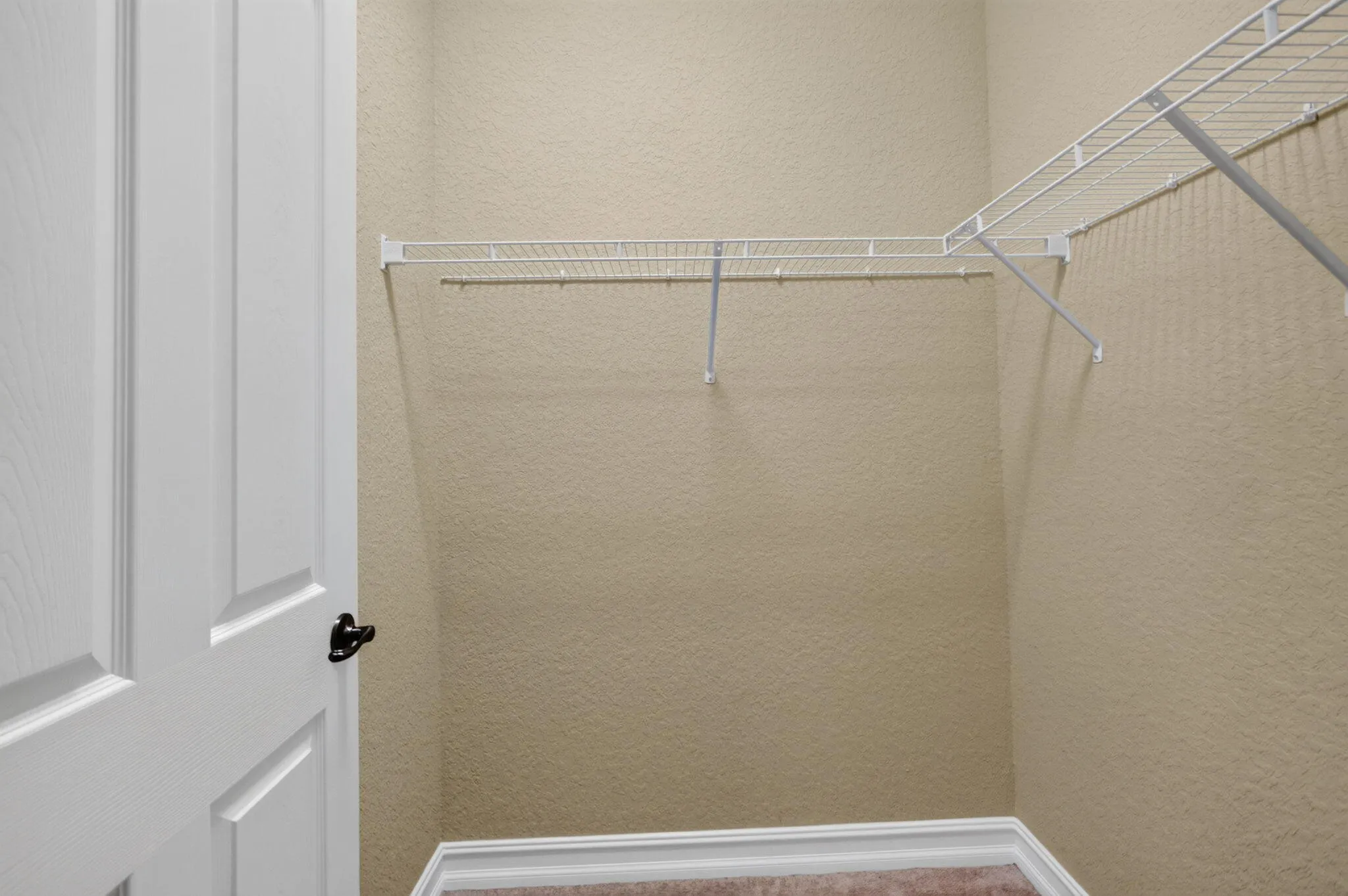 51-web-or-mls-5D1A7507
