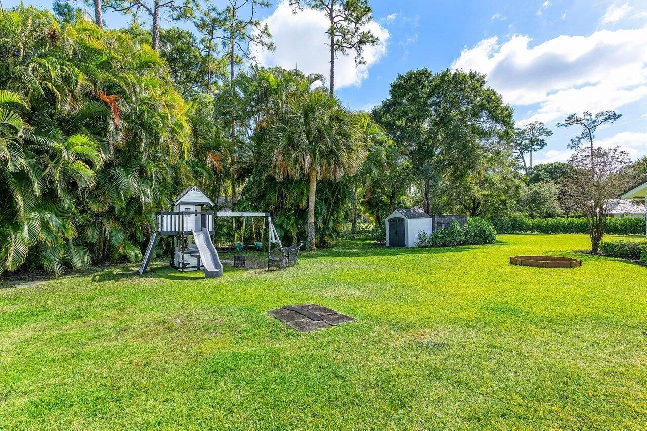 Back yard view