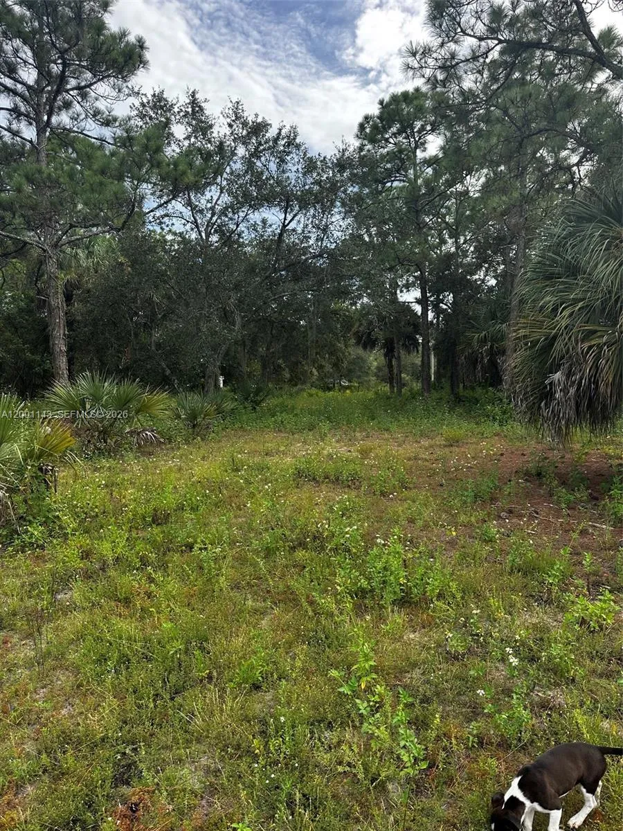 Property photo 17