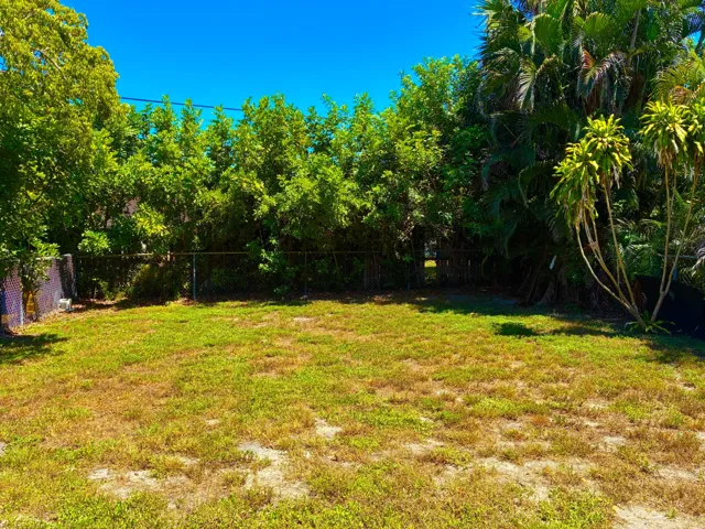 Back Yard