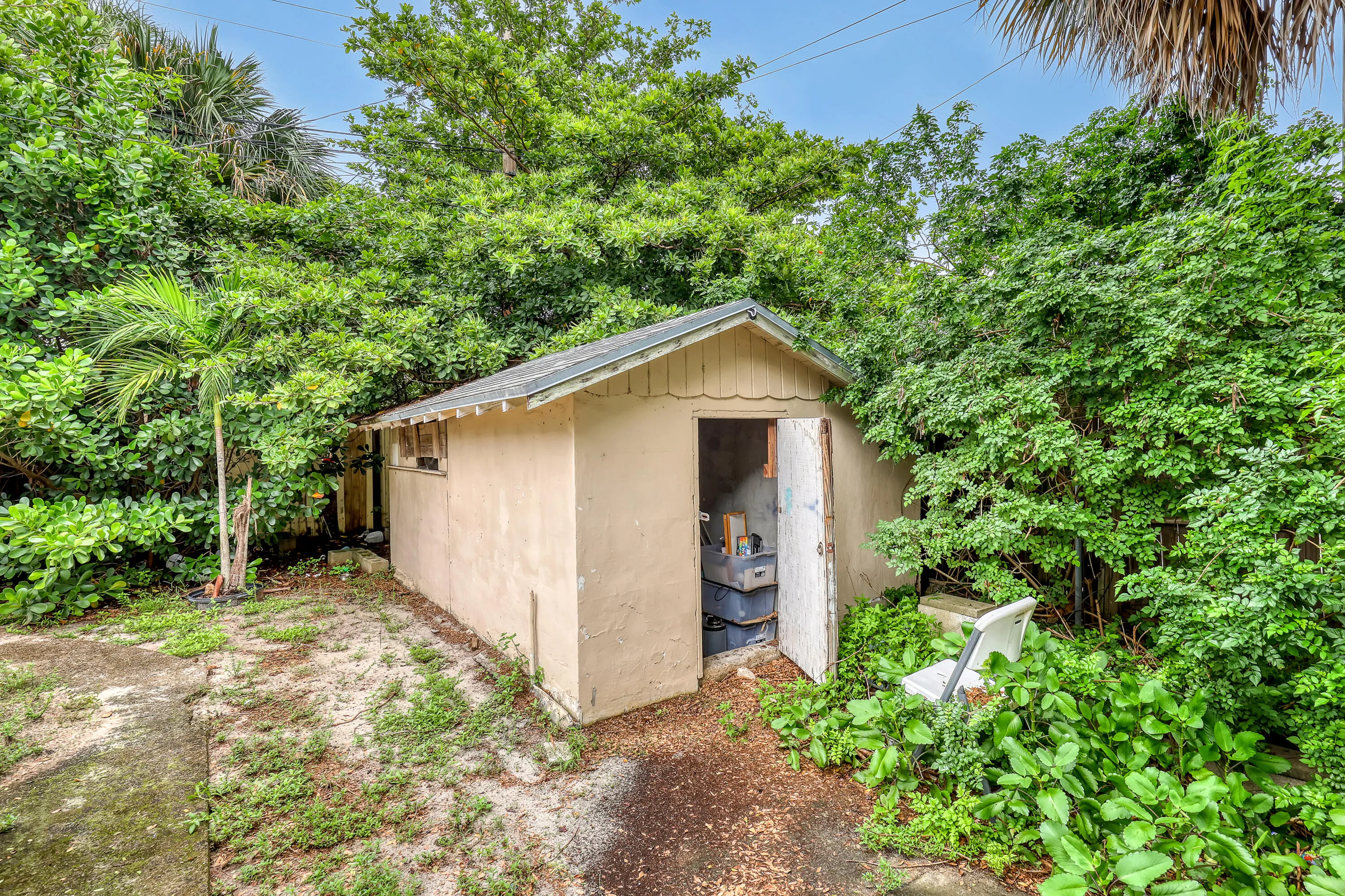 Shed