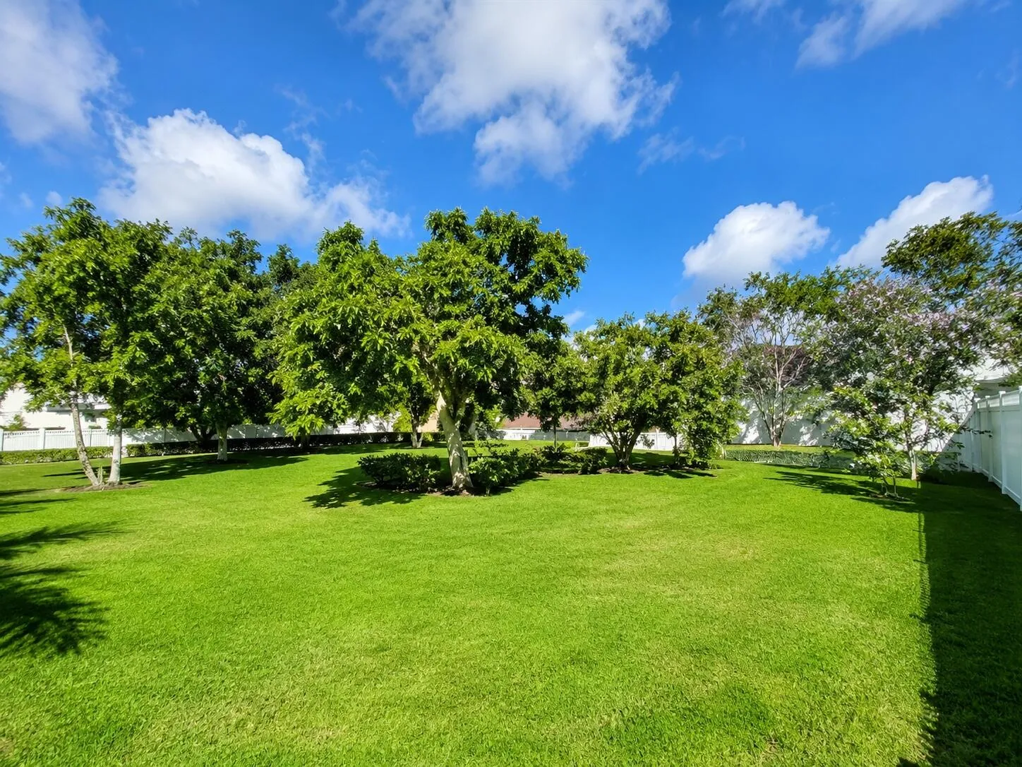 beautiful_backyard