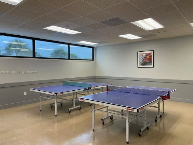 PING PONG