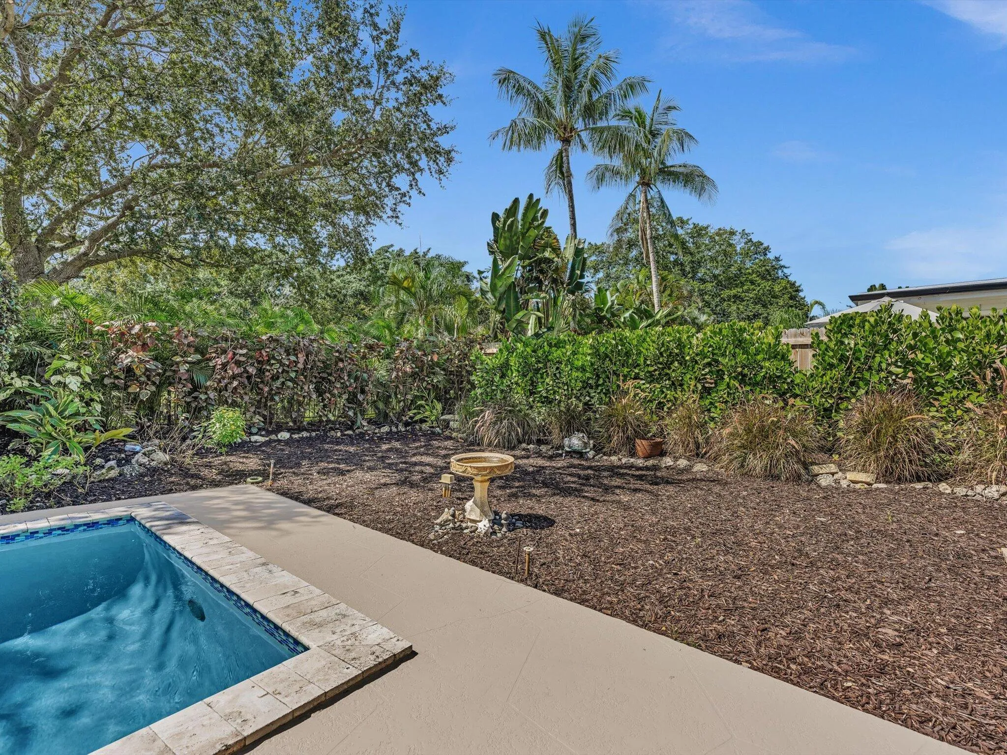 Pool & Garden