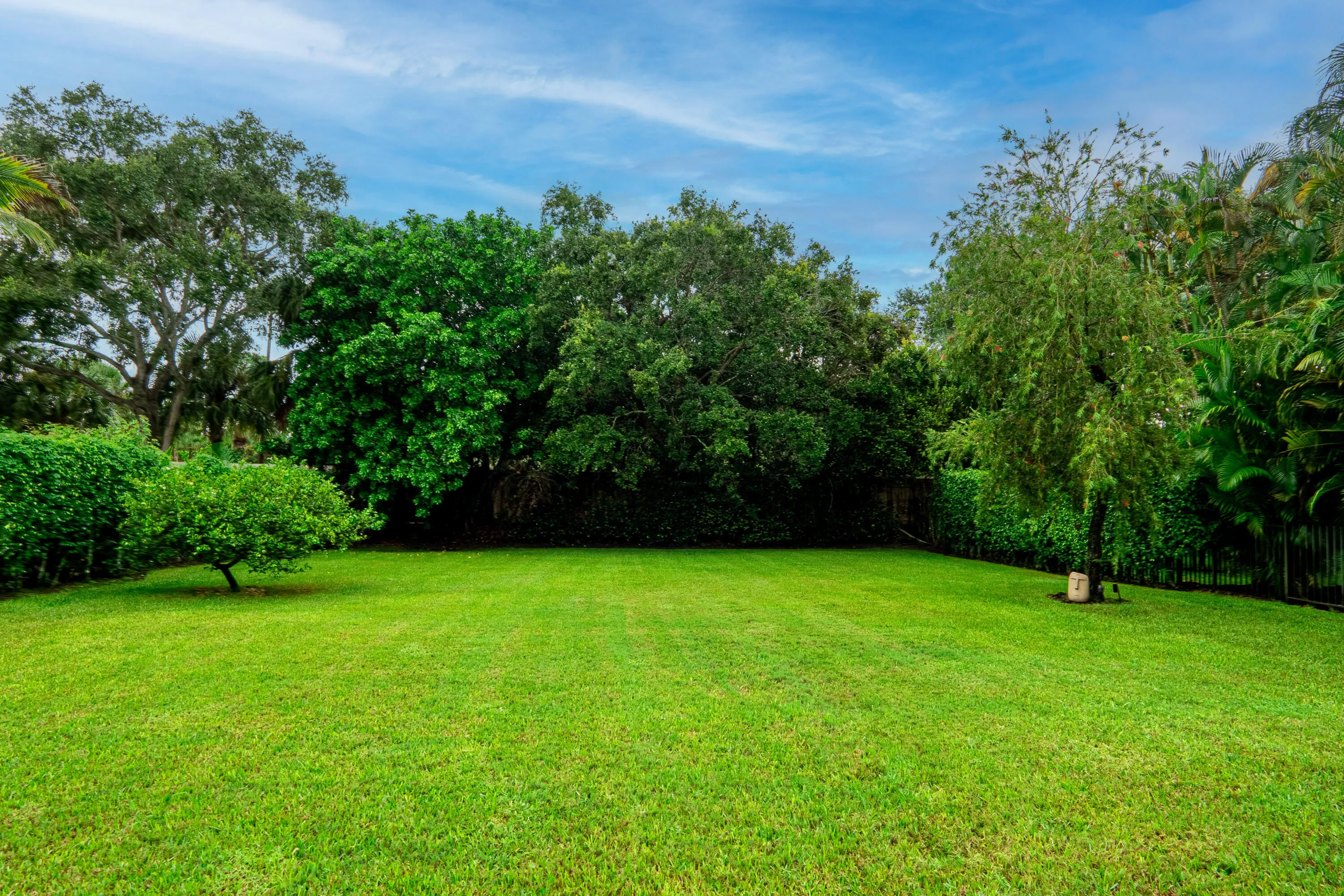 Fenced in yard