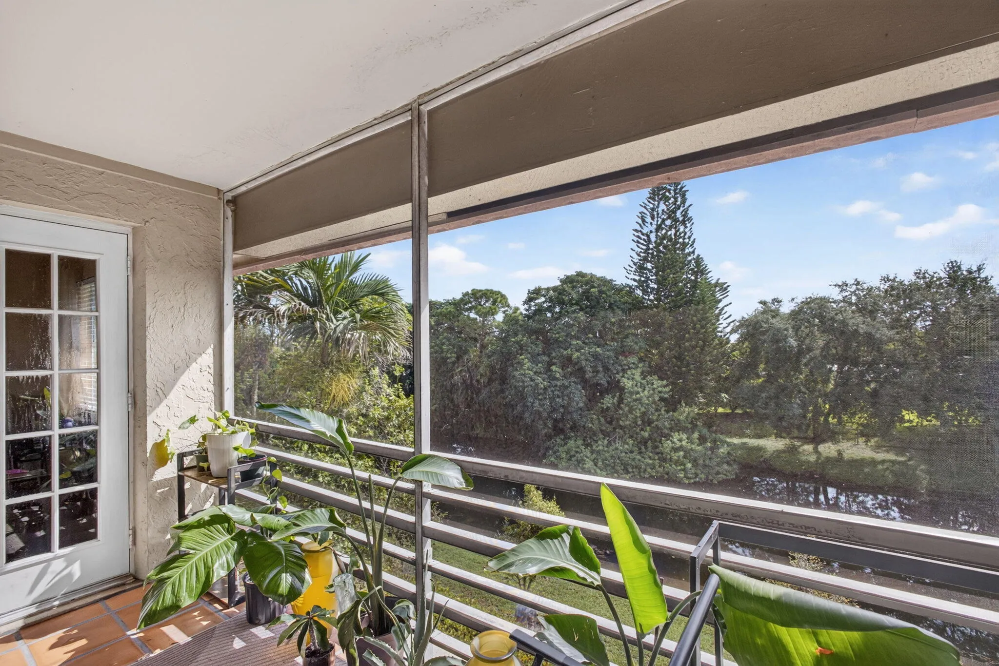 39-web-or-mls-5D1A4749