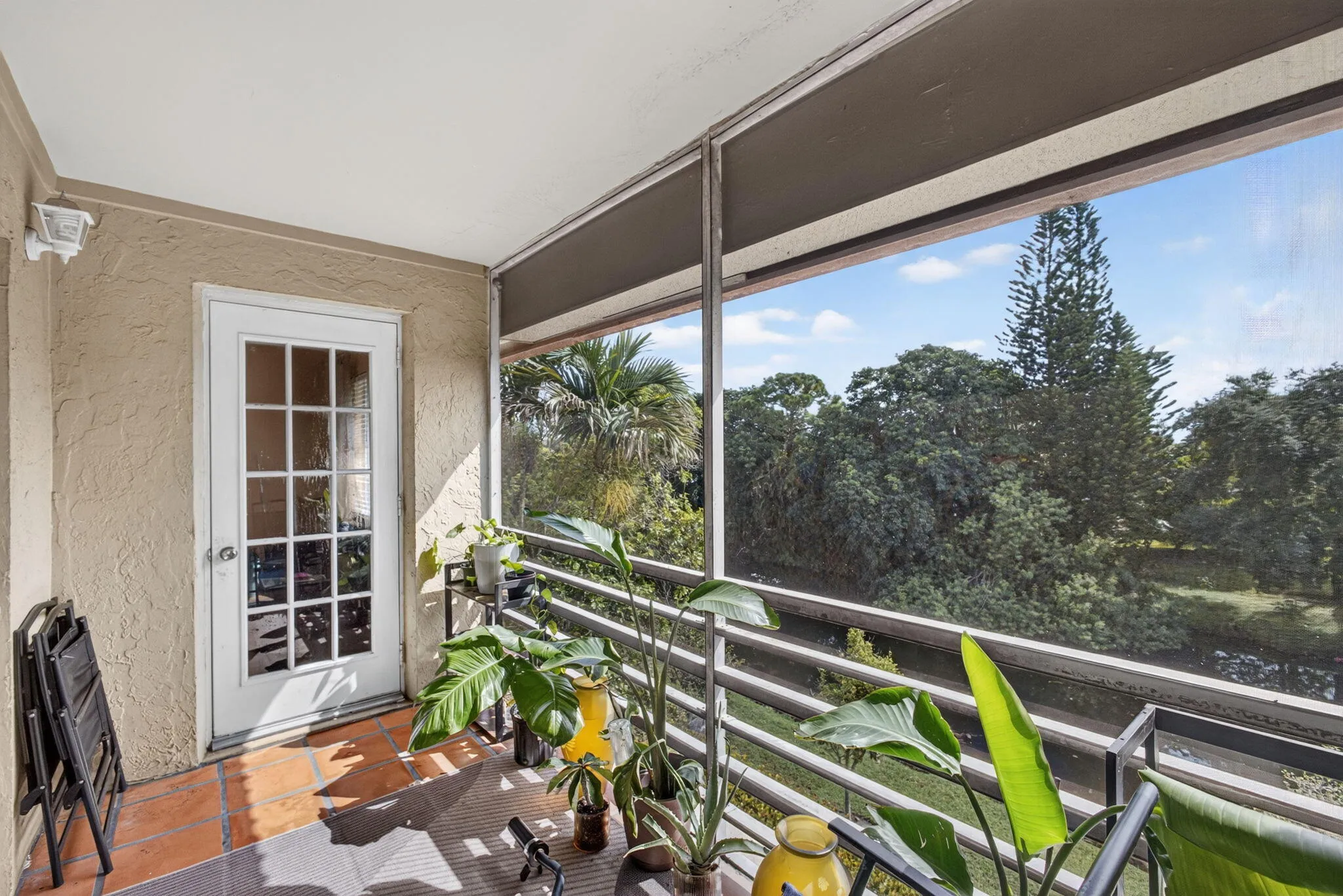 38-web-or-mls-5D1A4742