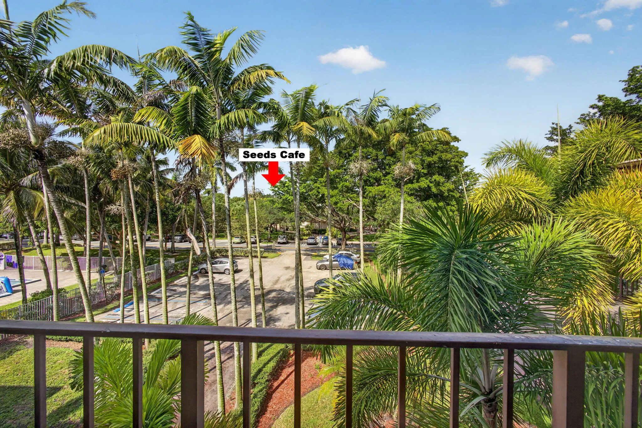 11-web-or-mls-5D1A4767