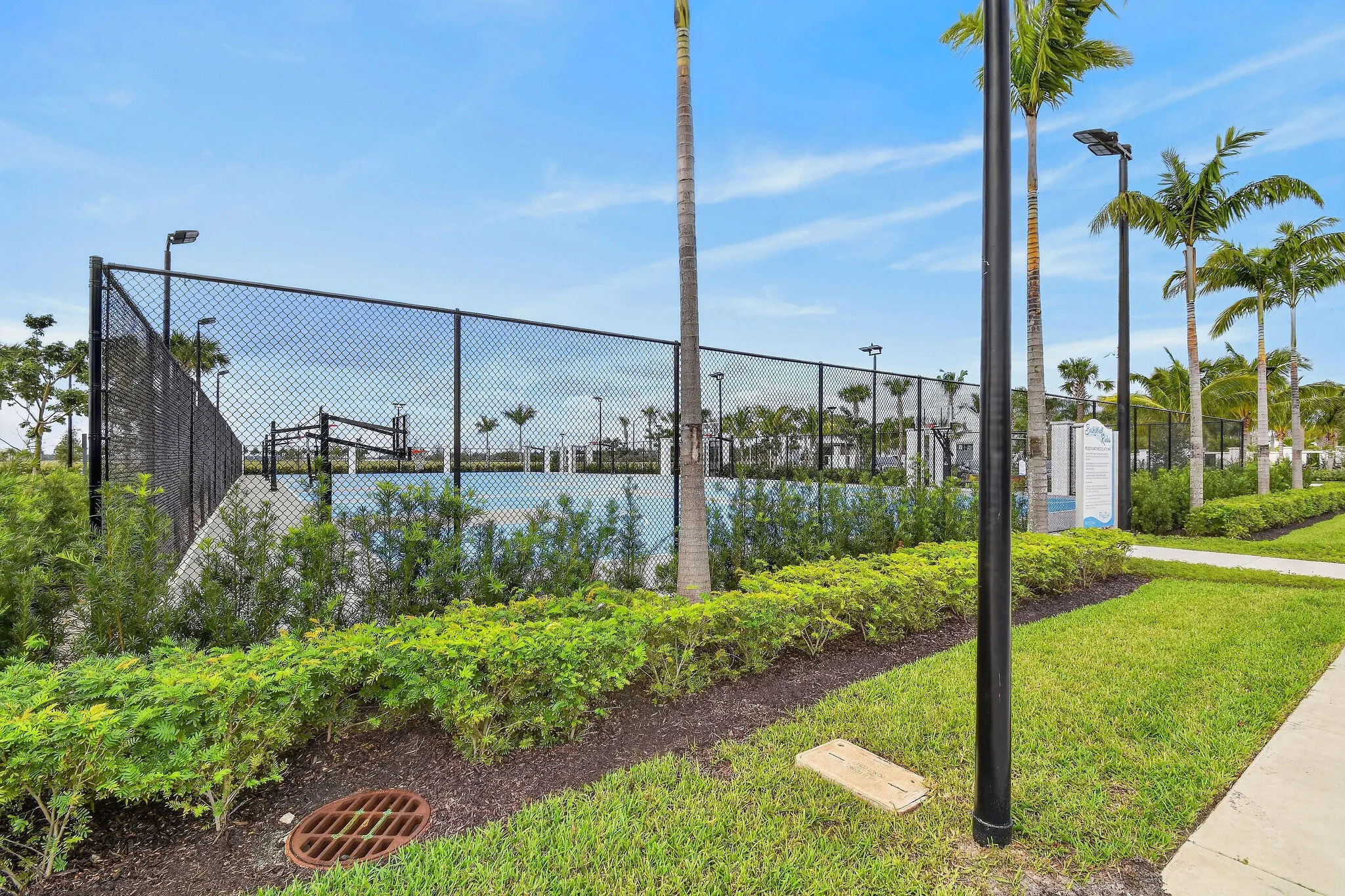 Fenced court area with surrounding landscaping, mature palm trees, and clear sky overhead