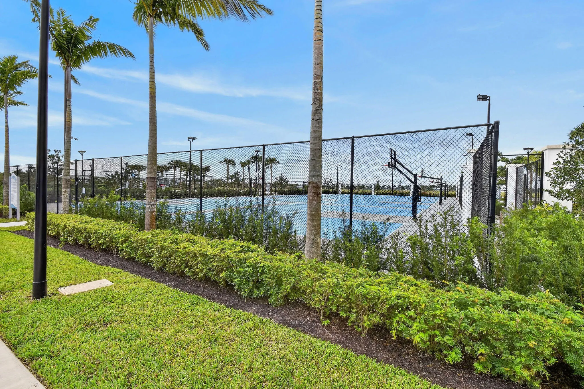 Recreational court with perimeter fencing, surrounded by mature palm trees and landscaped shrubbery