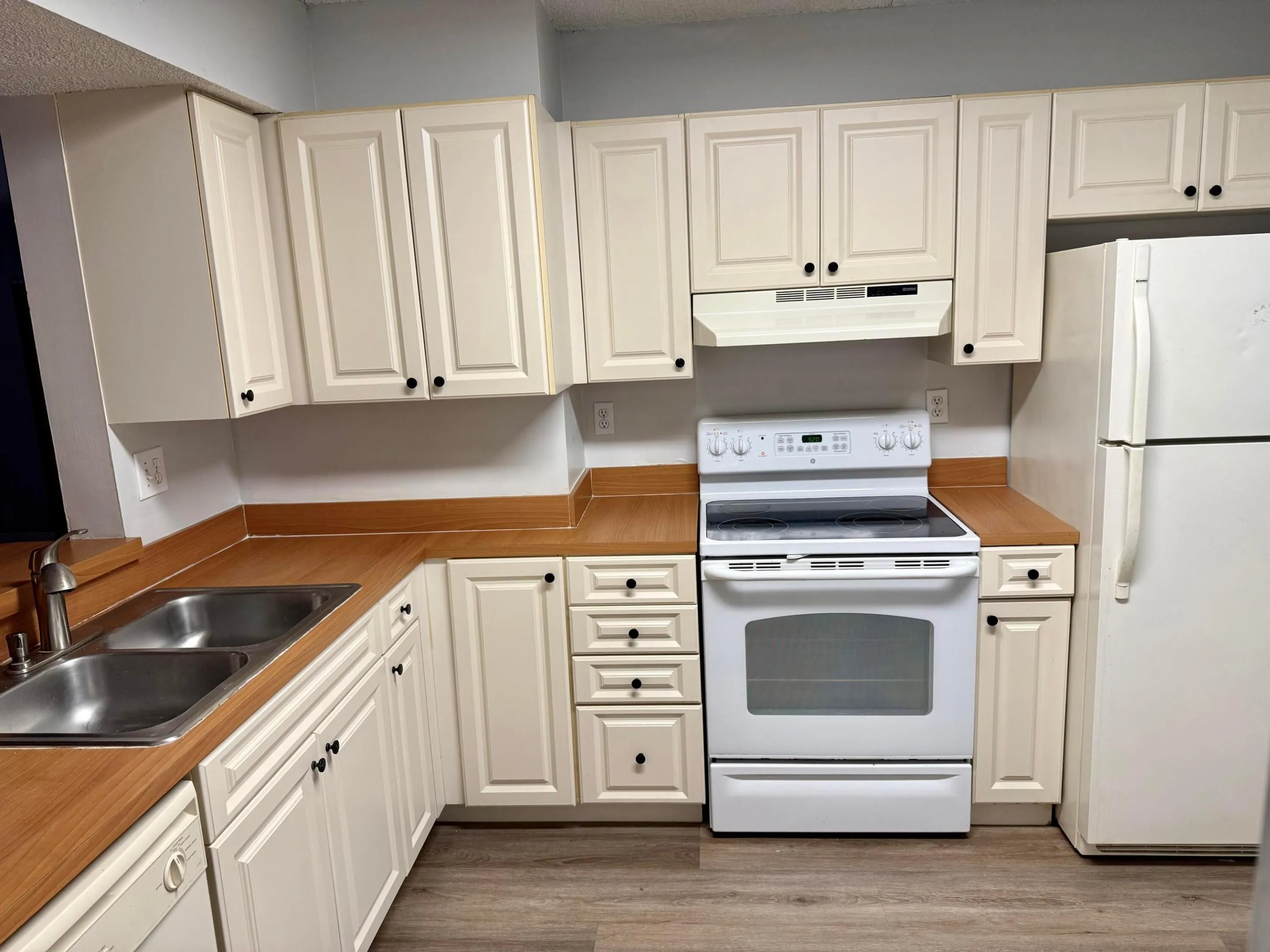 Big Kitchen for a Condo!