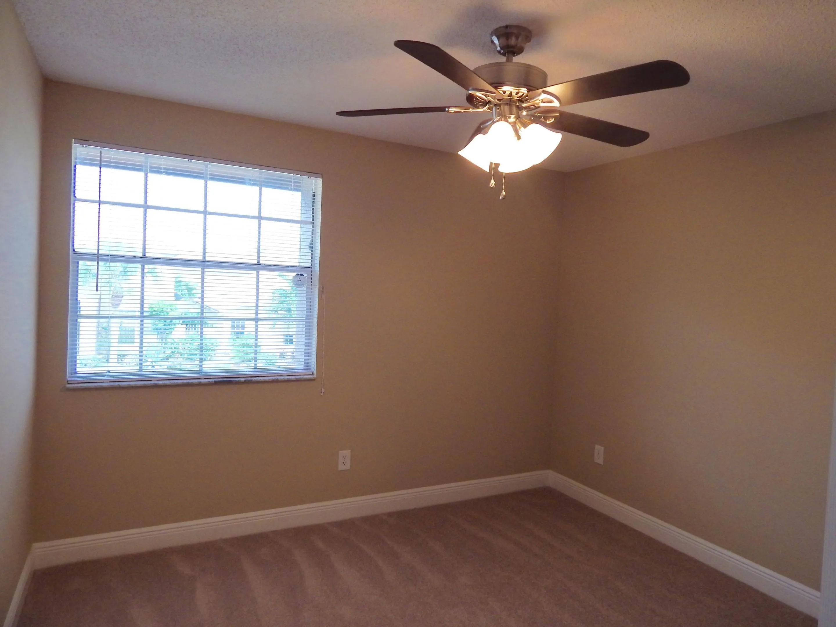 Carpeted flooring, neutral wall tones, multi-pane window, ceiling fan with integrated lighting, and white baseboards