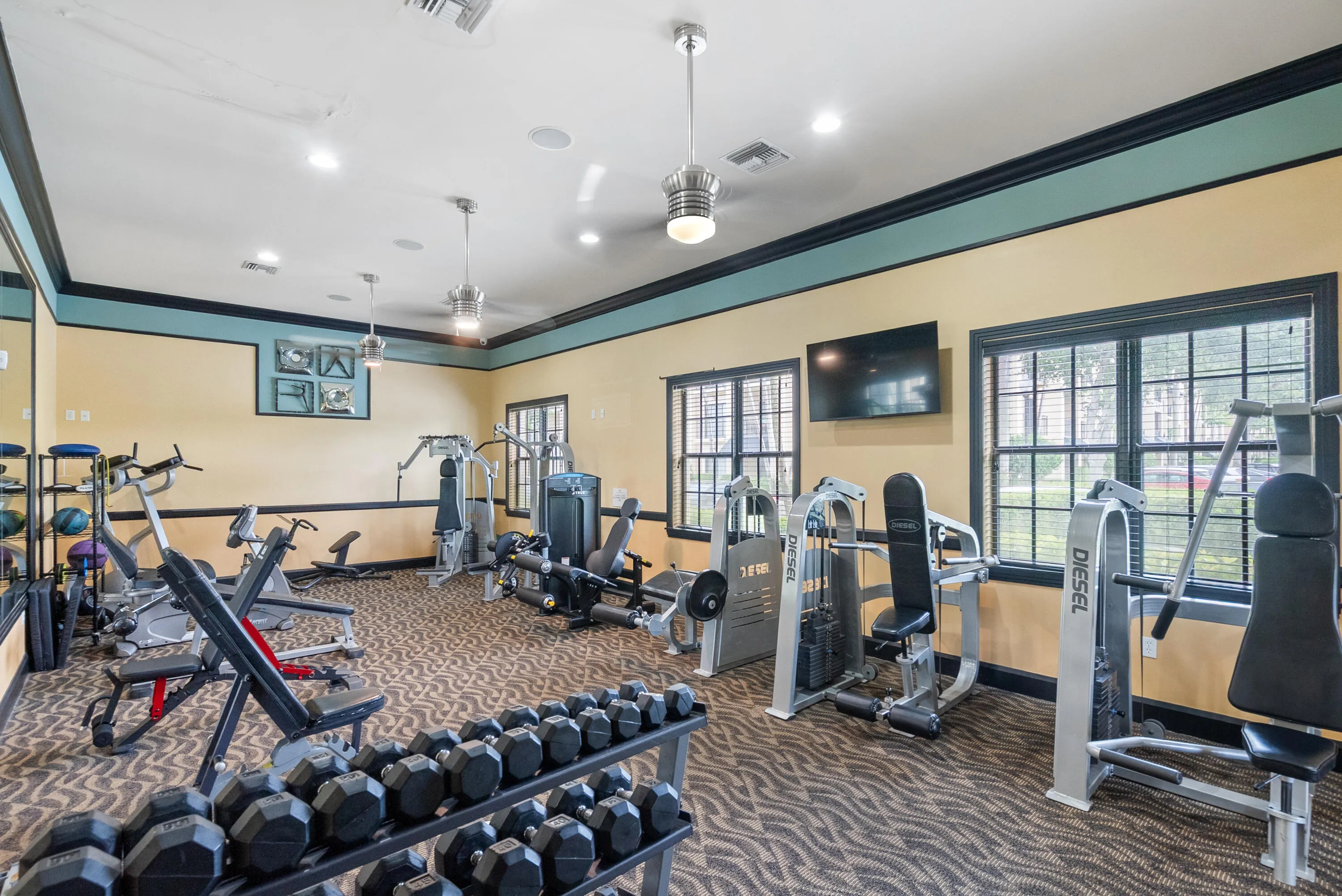 Fitness center featuring strength training equipment, cardio machines, wall-mounted television, patterned carpet flooring, and multiple windows
