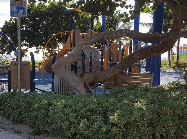 Play Areas