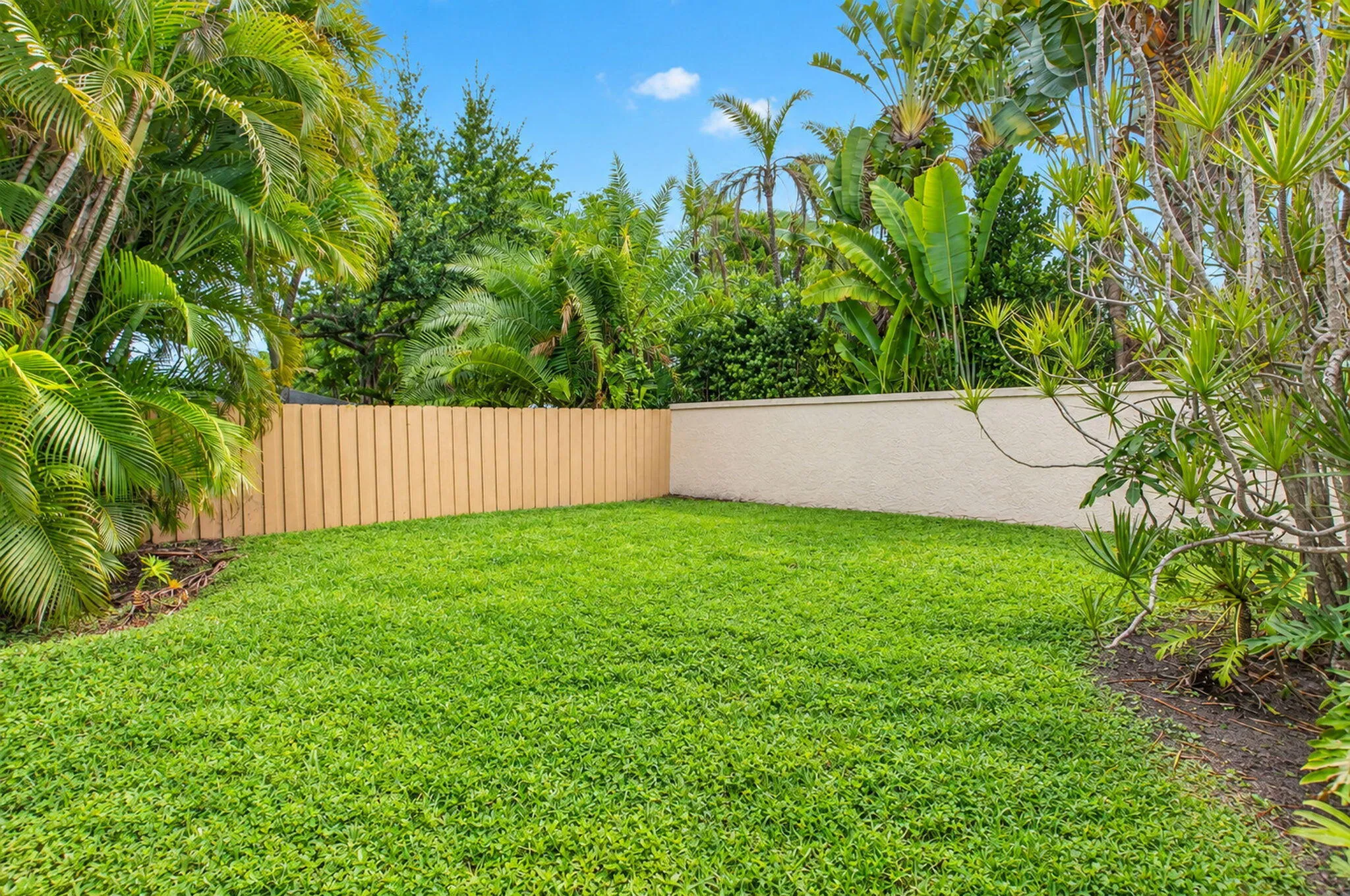 East Side yard