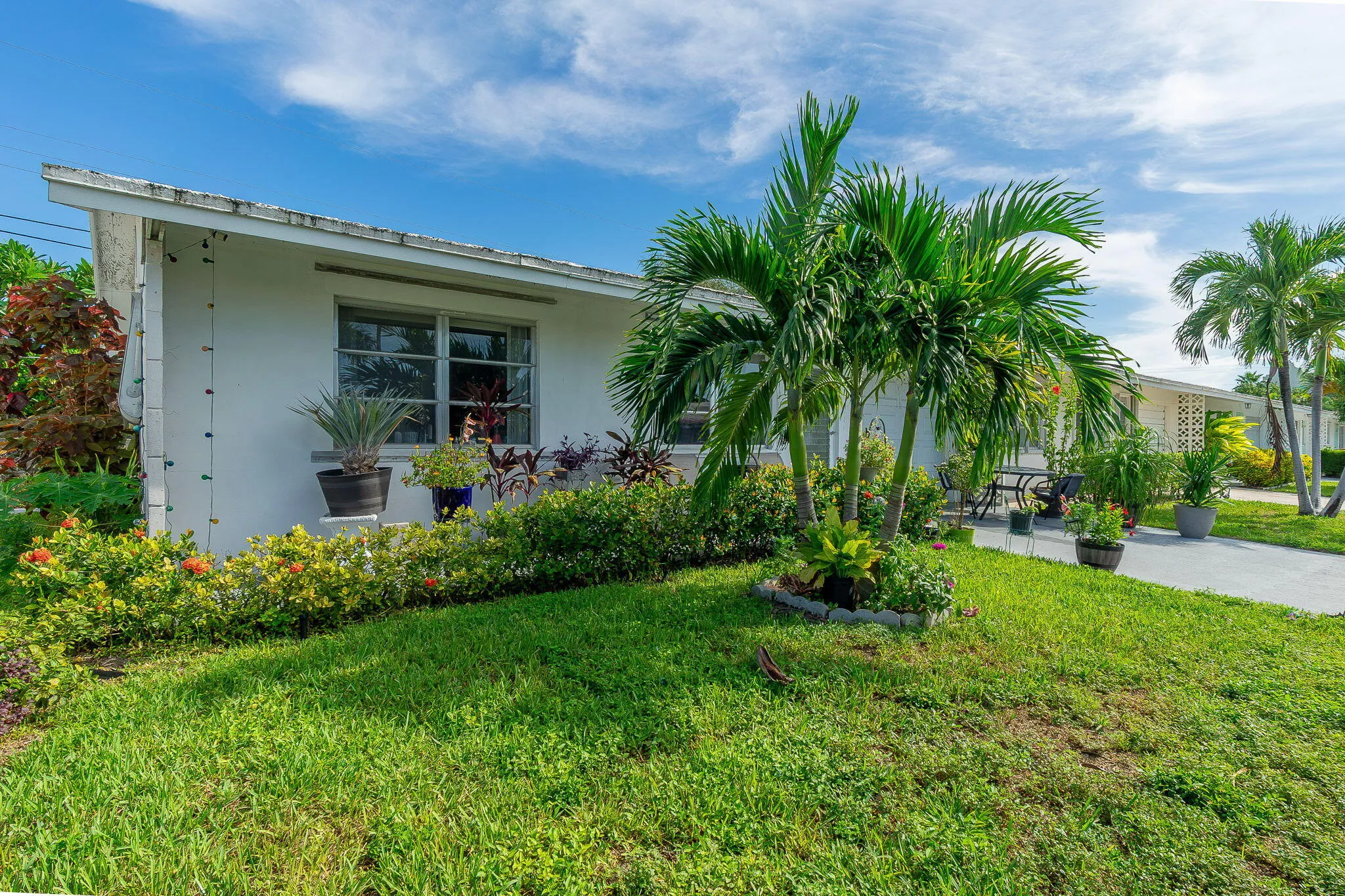 3-web-or-mls-DSC09328