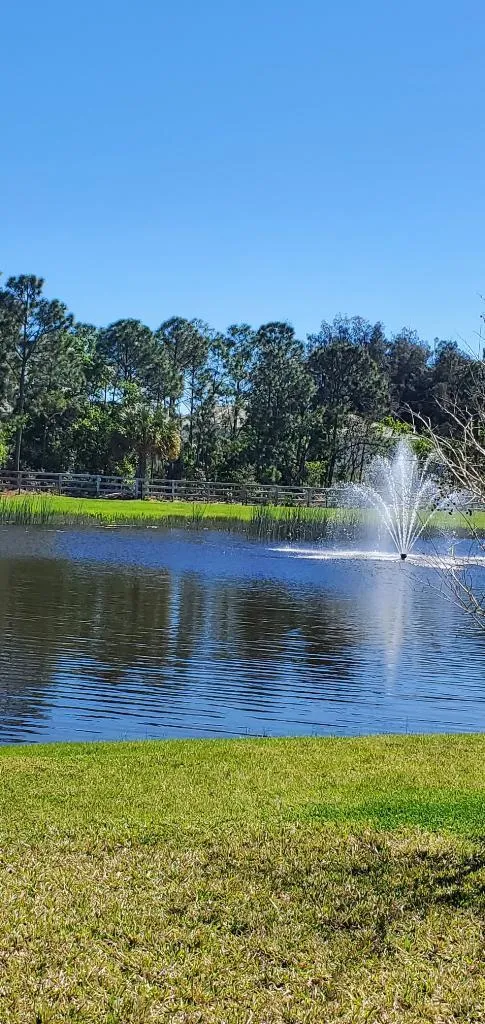 Lake and Preserve View