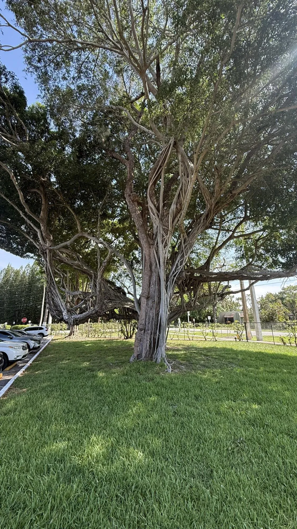34