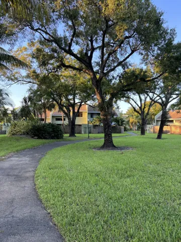 Dog walk.