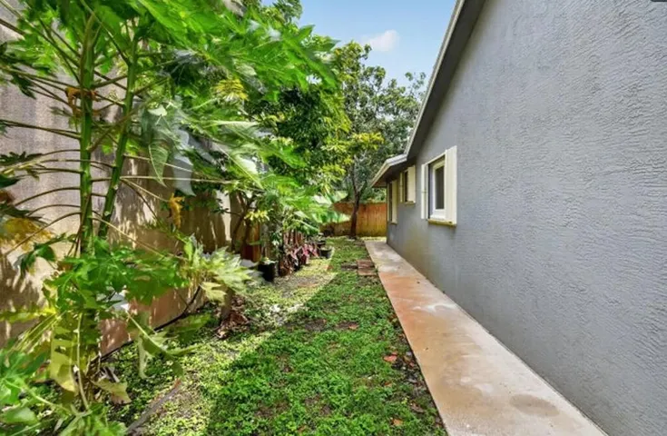backyard1