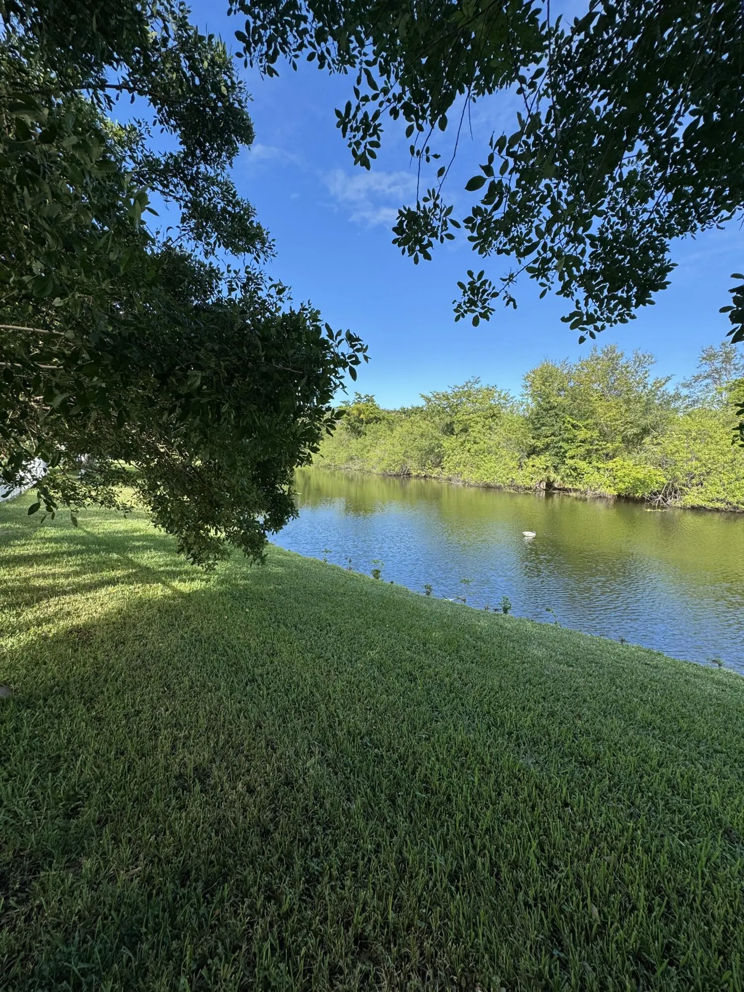 IMG_0202