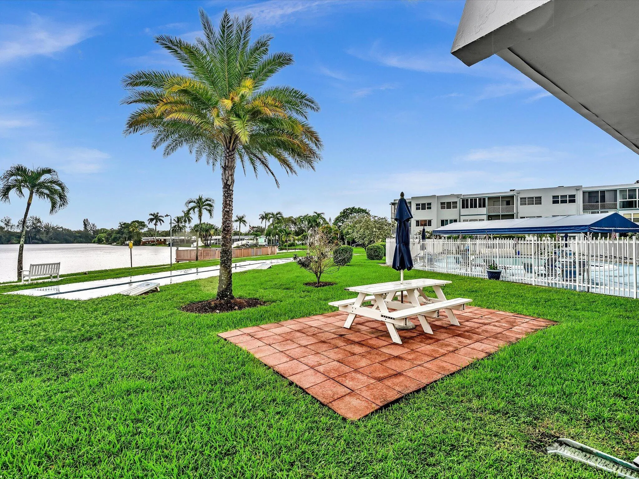 Lush green lawn with mature palm trees, a paver patio, and a fenced swimming pool