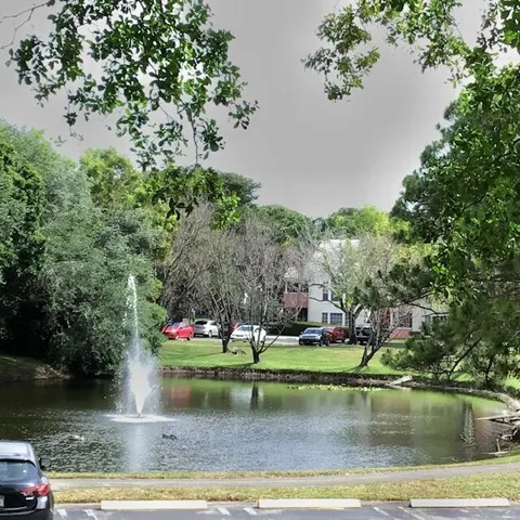Overlooking Pond
