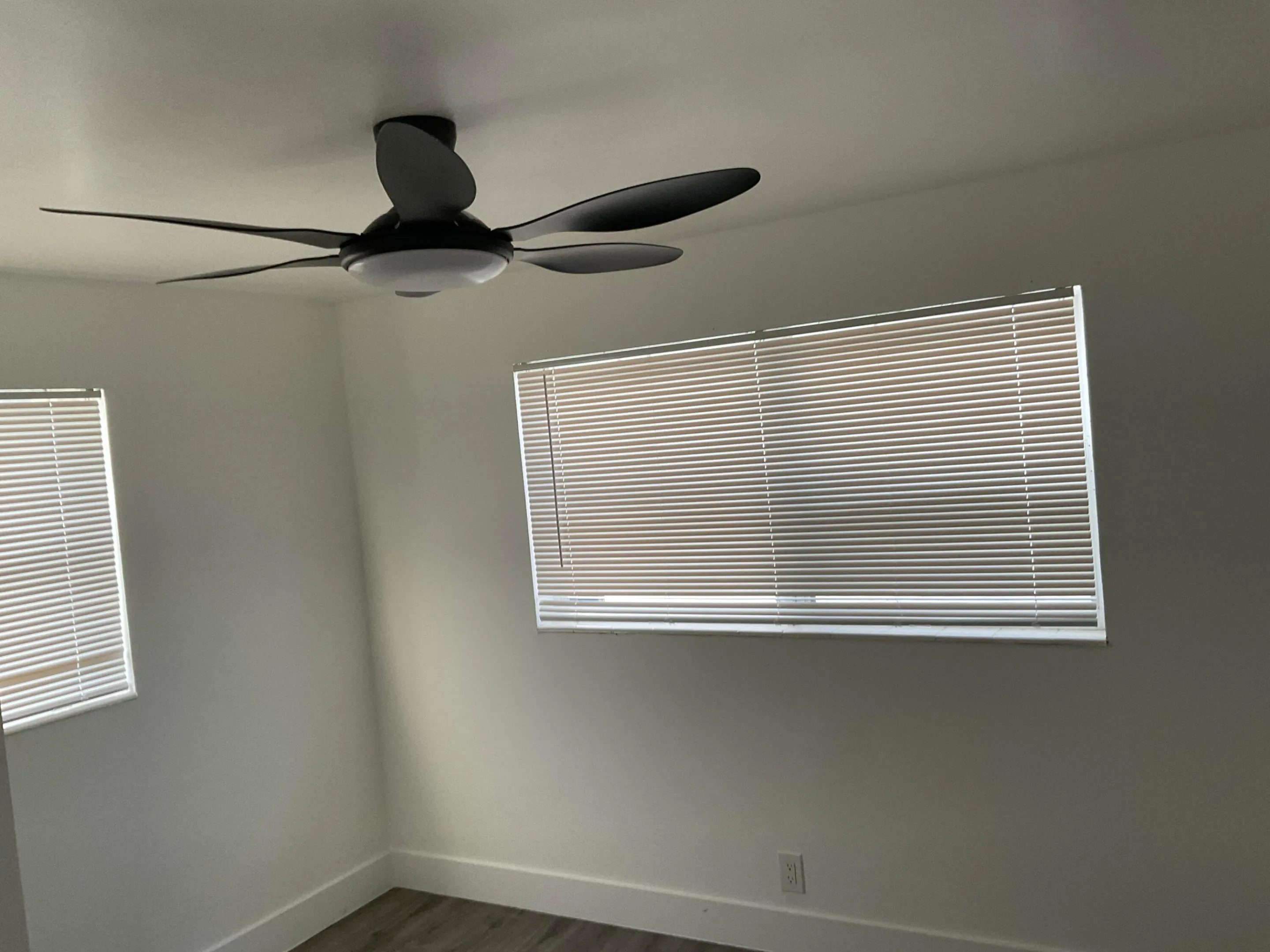 IMG_5086