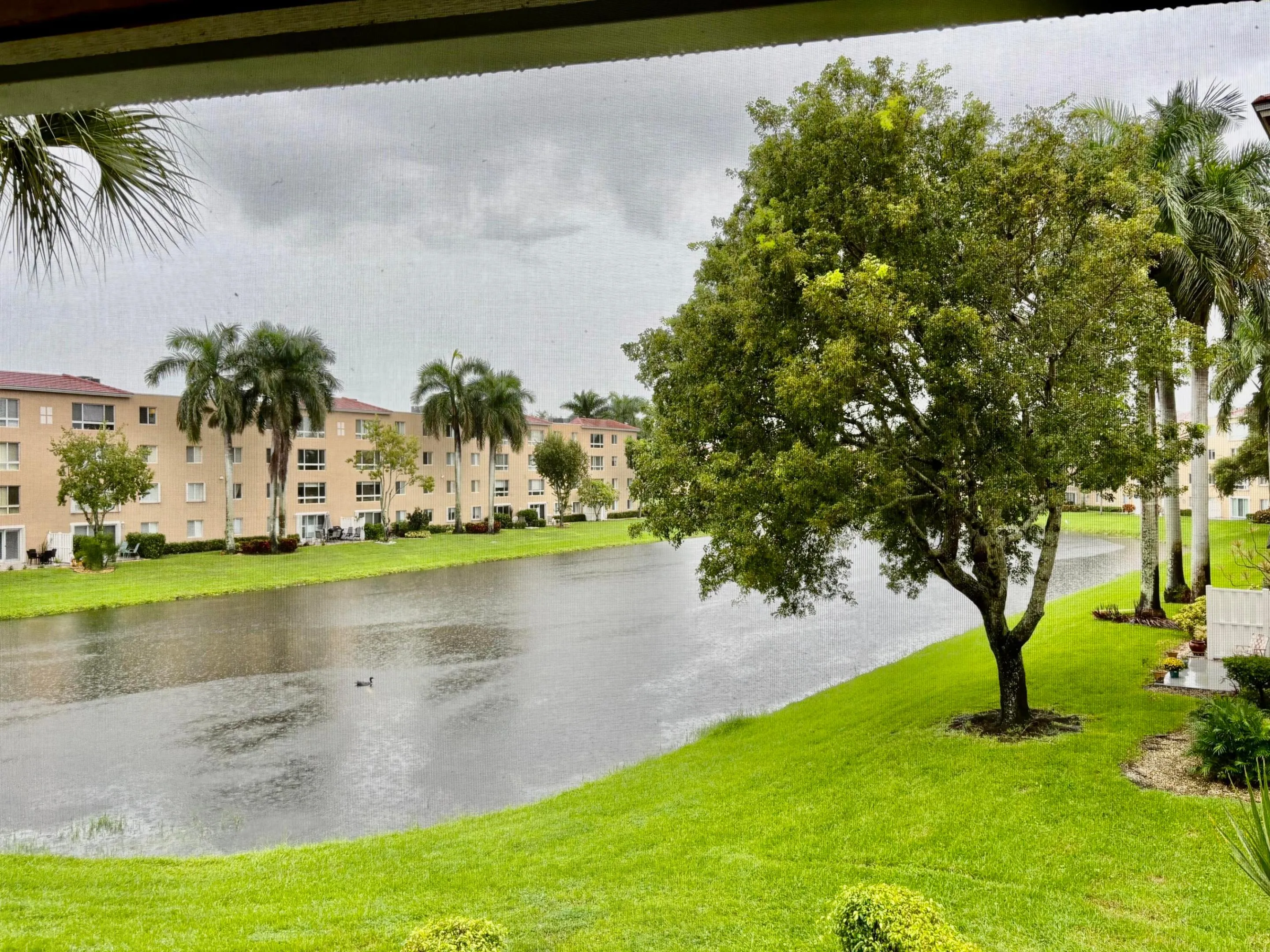 VIEW FROM LANAI