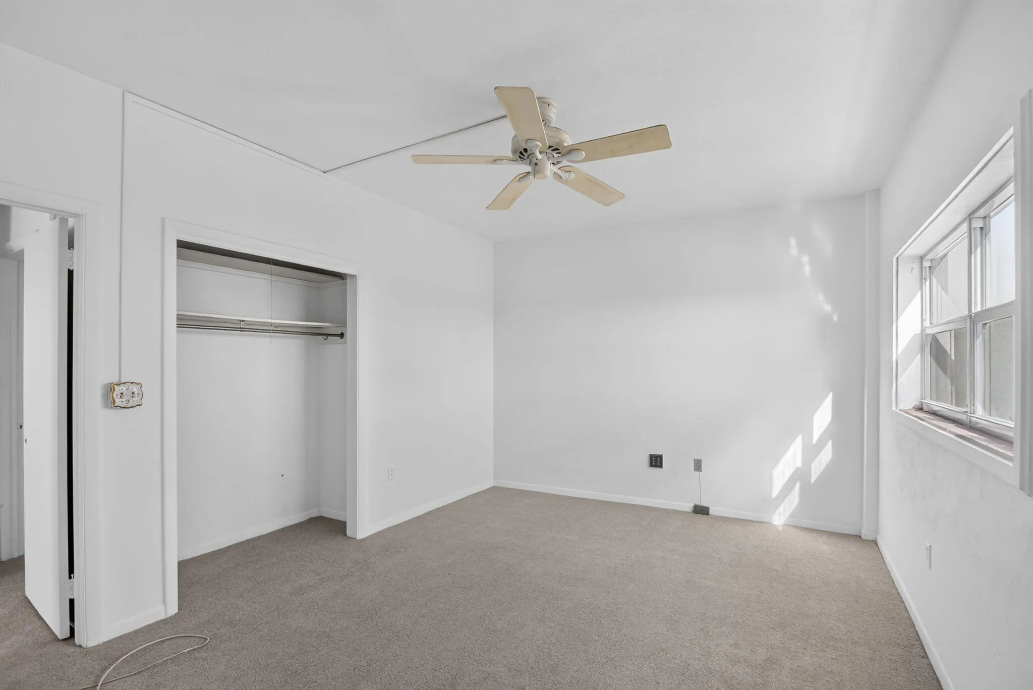 NEW CARPET SUMMER 2026