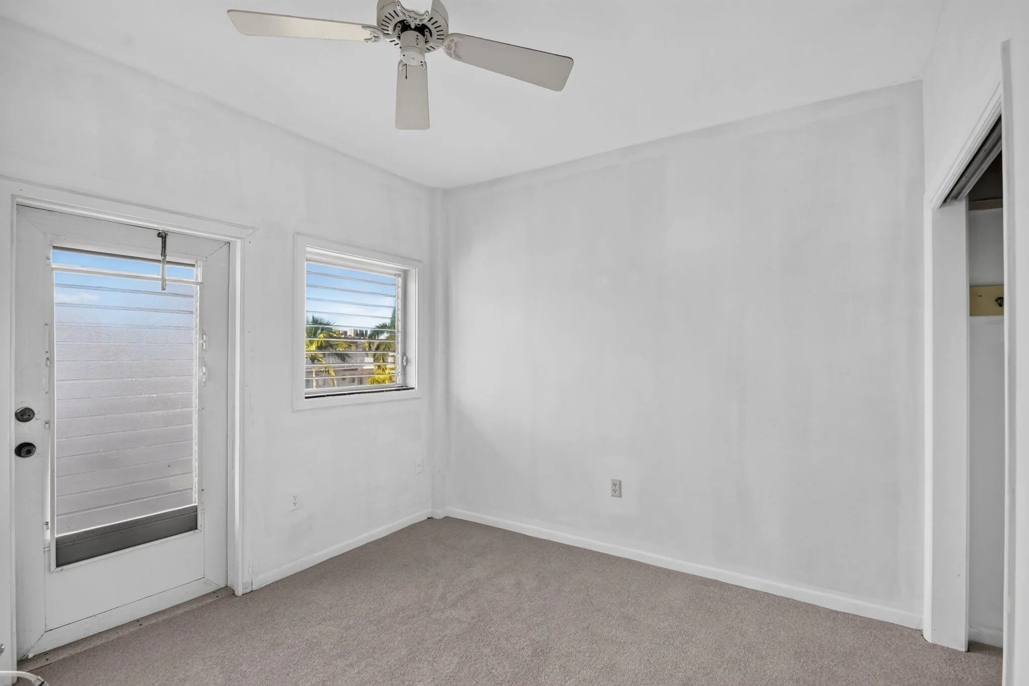 NEW CARPET SUMMER 2026