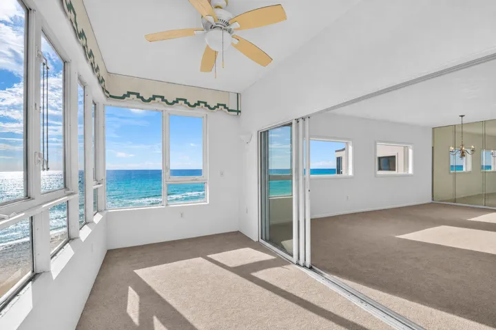 NEW CARPET SUMMER 2026