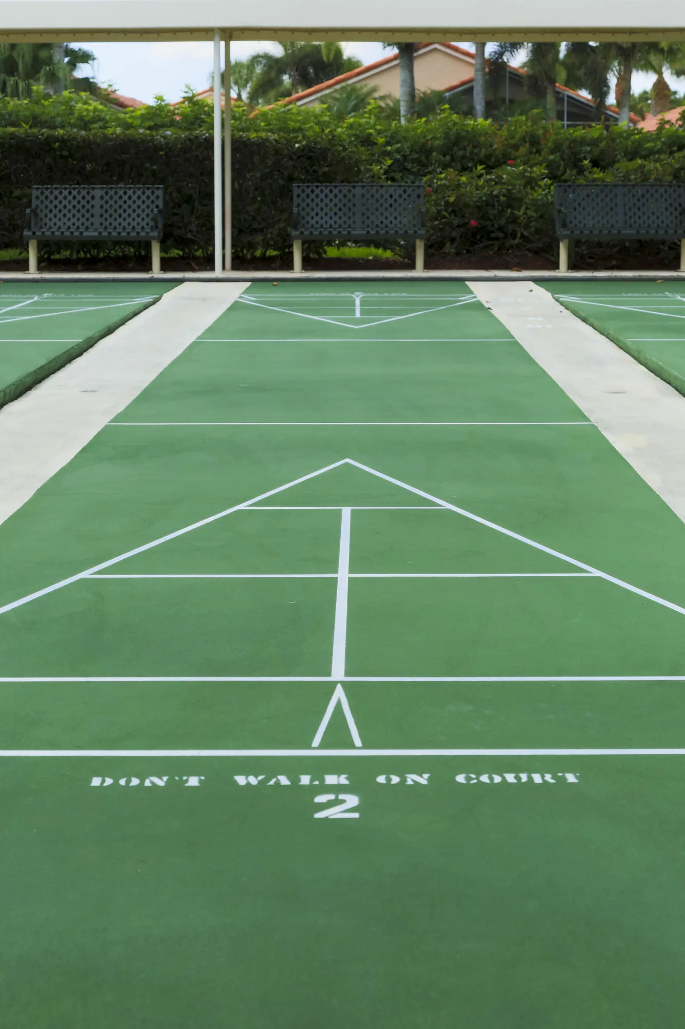 Shuffleboard