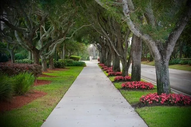 landscaping flowers