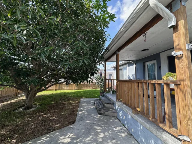 Front yard, mango tree, concrete walk to front porch.