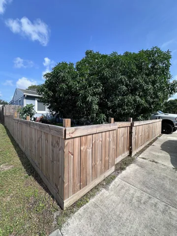 SE corner of front yard. Privacy and shade provided by mature mango tree, pressure treated wood fence