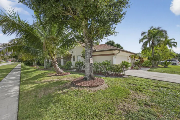 6-web-or-mls-BS1A4759
