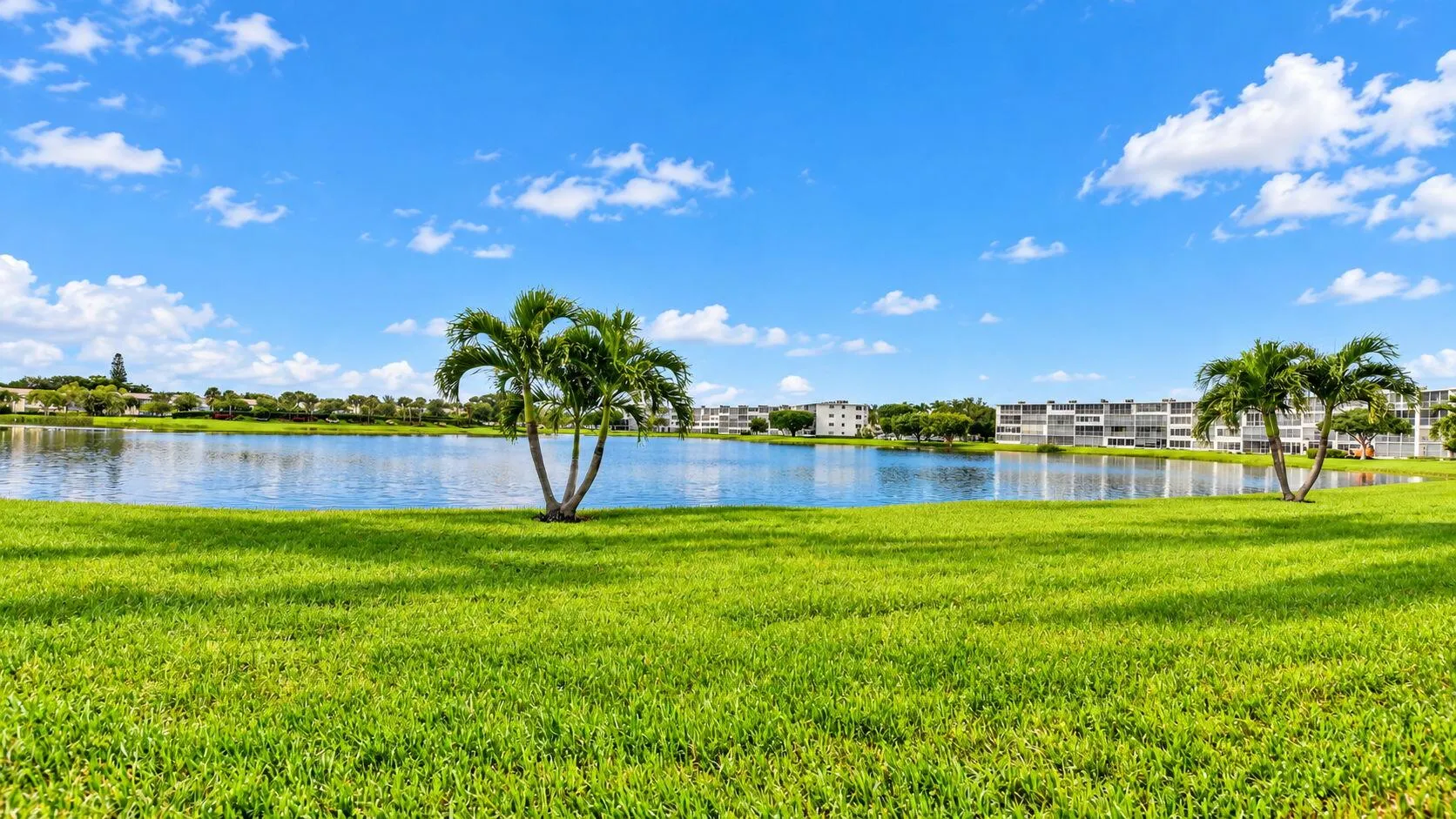 30-web-or-mls-1061 (3)