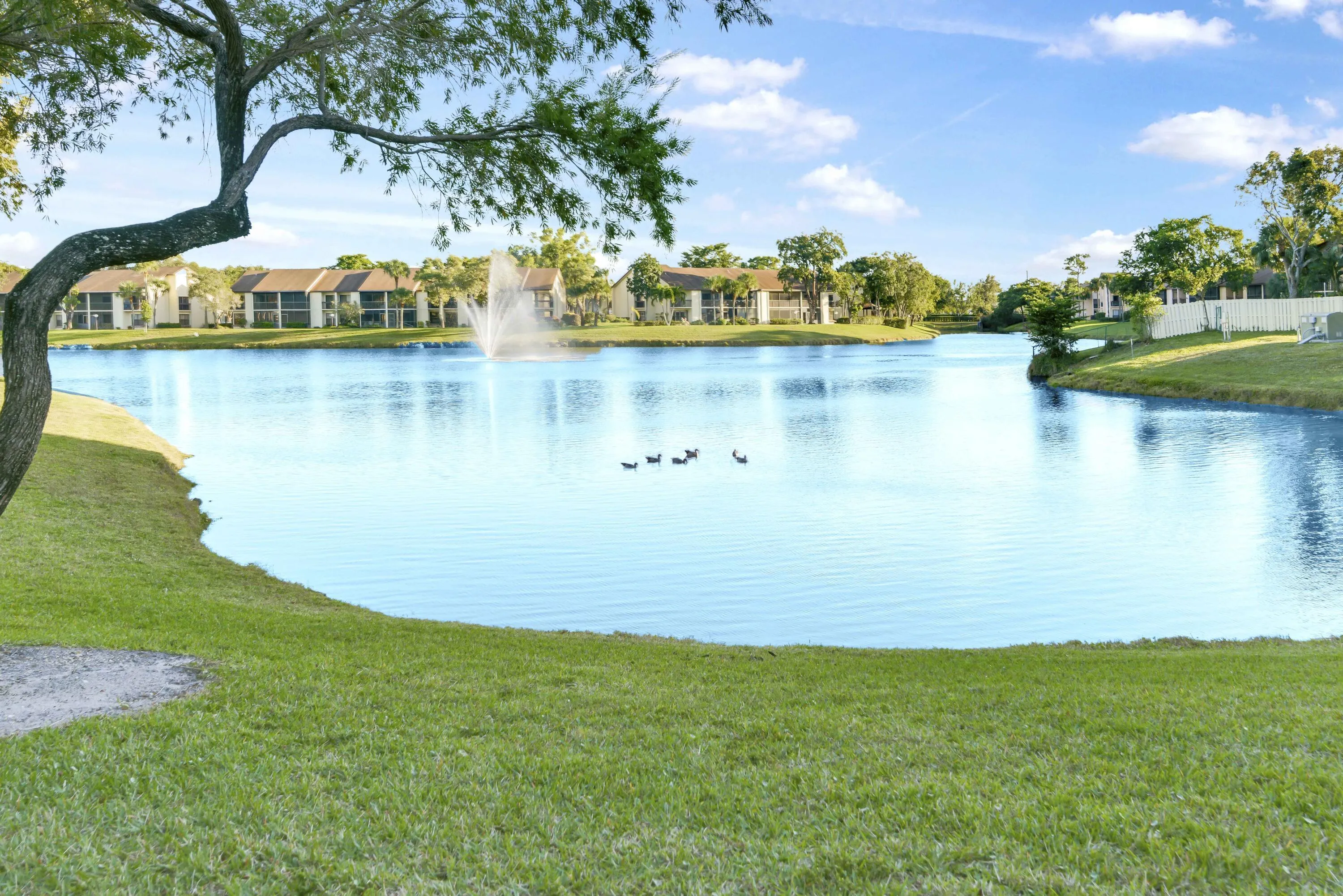 Lake