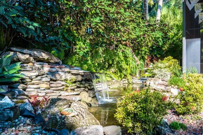 pond